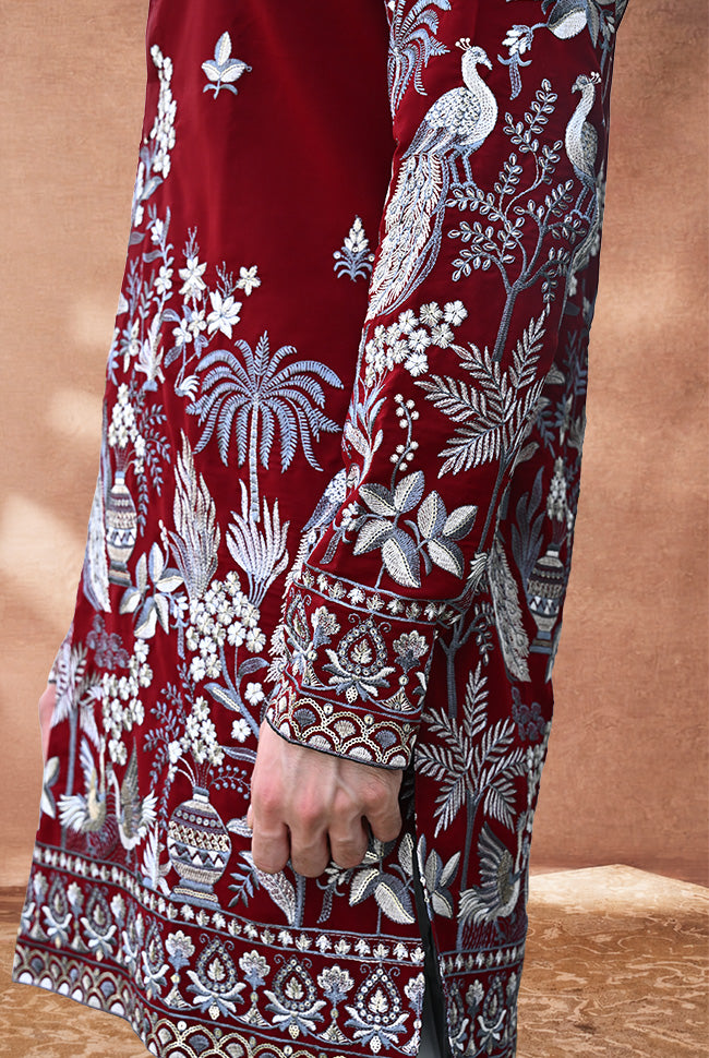 The Royal Crimson Peacock: Not For the Quite